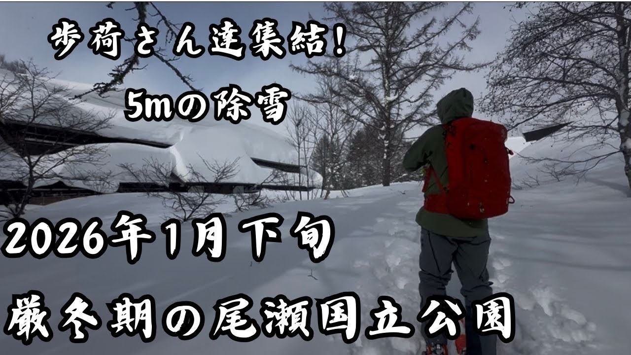 【スペシャル】厳冬期の尾瀬国立公園！5m雪を除雪する歩荷さん達