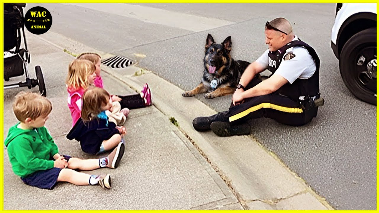 50 Random Acts of Kindness That Will Make You Cry Tears of Joy!😭! Best Moments of 2025 #69