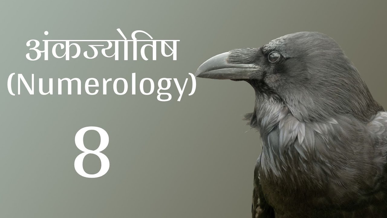 अंकज्योतिष (Numerology) - जानिए उर्ज़ा नंबर 8 की - लकी कलर्स, अनुकूल नंबर, सम्बंधित व्यवसाय