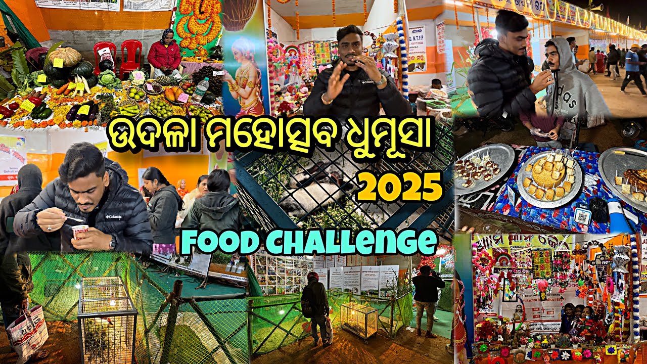 ଉଦଳା ମହୋତ୍ସବ ଧୁମୂସା 2025 😱|| Pinku Lifestyle Vlogs ||#longvideo #mela #mayurbhanj #foodie #dailyvlog