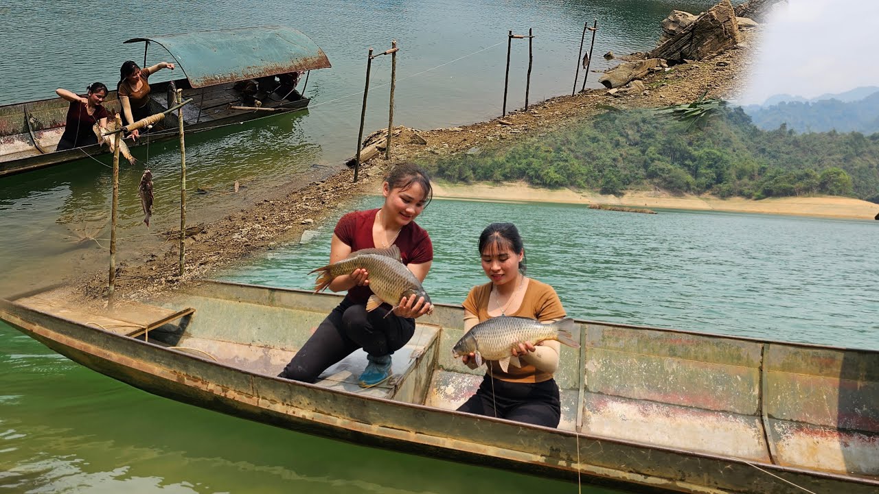 Fish trap, catch giant fish for free on the lake using primitive methods.