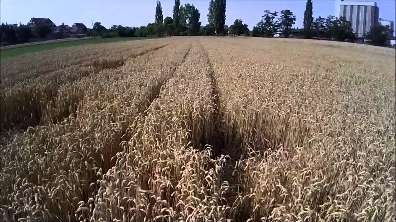 Grodzisk Wielkopolski z powietrza :)