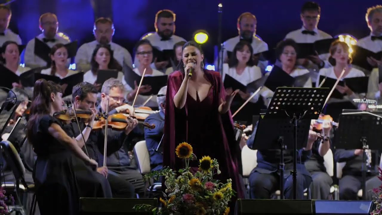 Roxana Mureșan - Stand Up ( Pop-Simfonic la Catedrală 2025) 