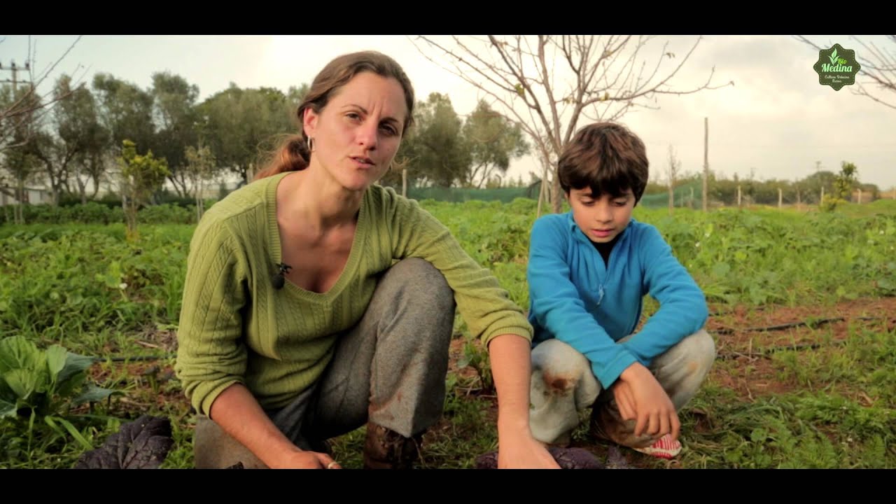 Wepisode 1: Potager Bio - Slaoui Farms (Bio Medina Maroc)