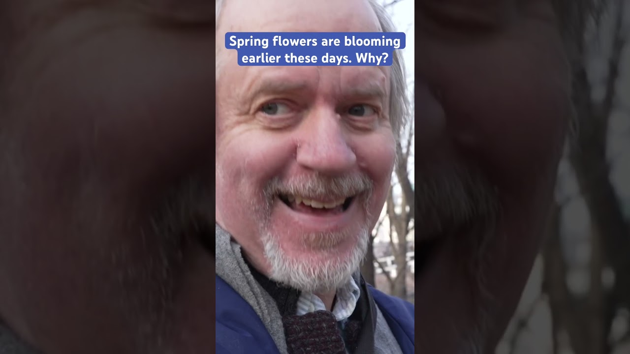 Spring flowers are blooming earlier these days. Why? #springweather #seasonalchange #climatepatterns