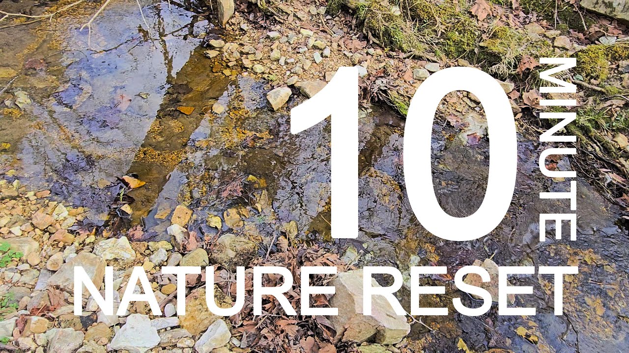 10 Minute Nature Reset