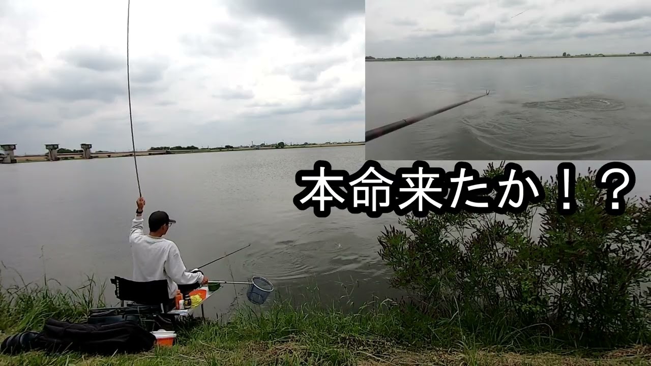 【小貝川：福岡堰】親父が釣れたって言うから初釣行！！