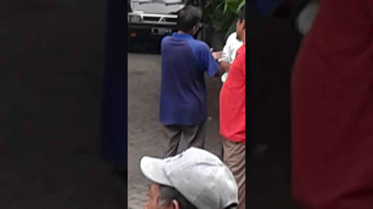 Royoan pentil