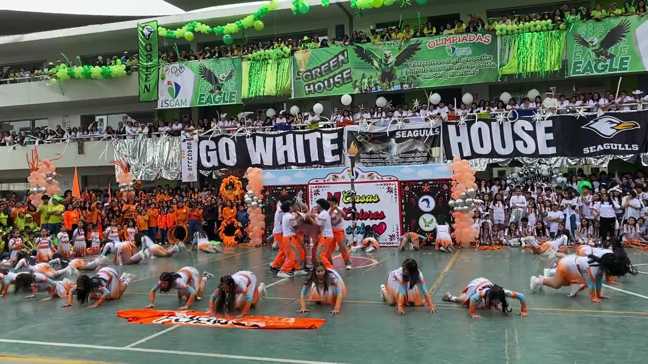 CASA NARANJA INNOVA SCHOOLS CAMPOY 2024