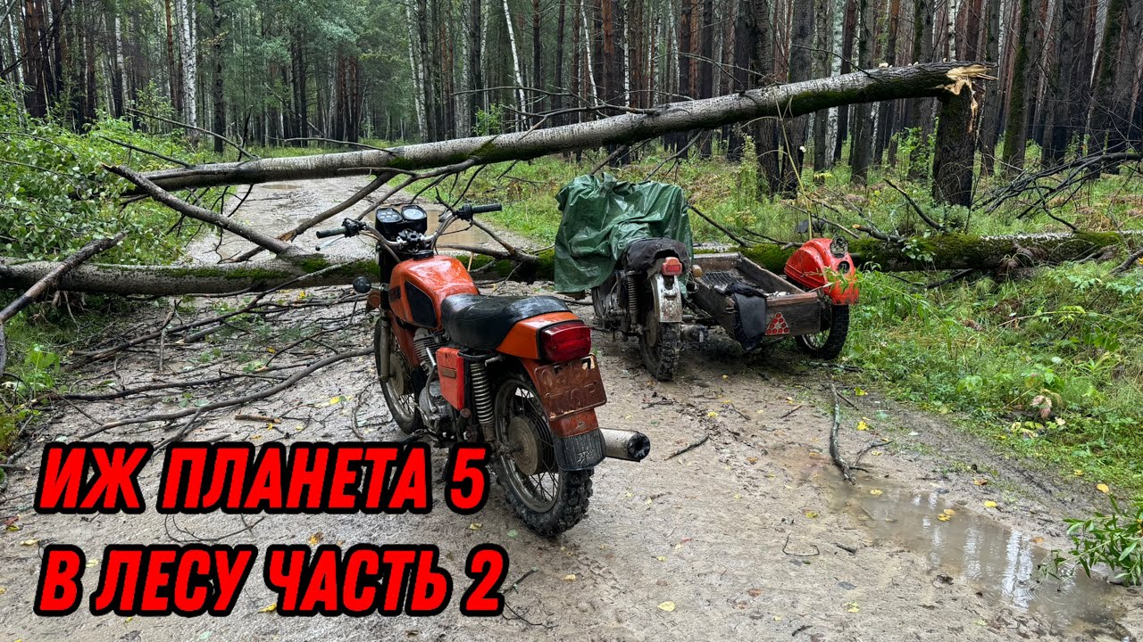 покатушки на Иж Планета 5 и Иж Планета 4 едем в лес часть 2