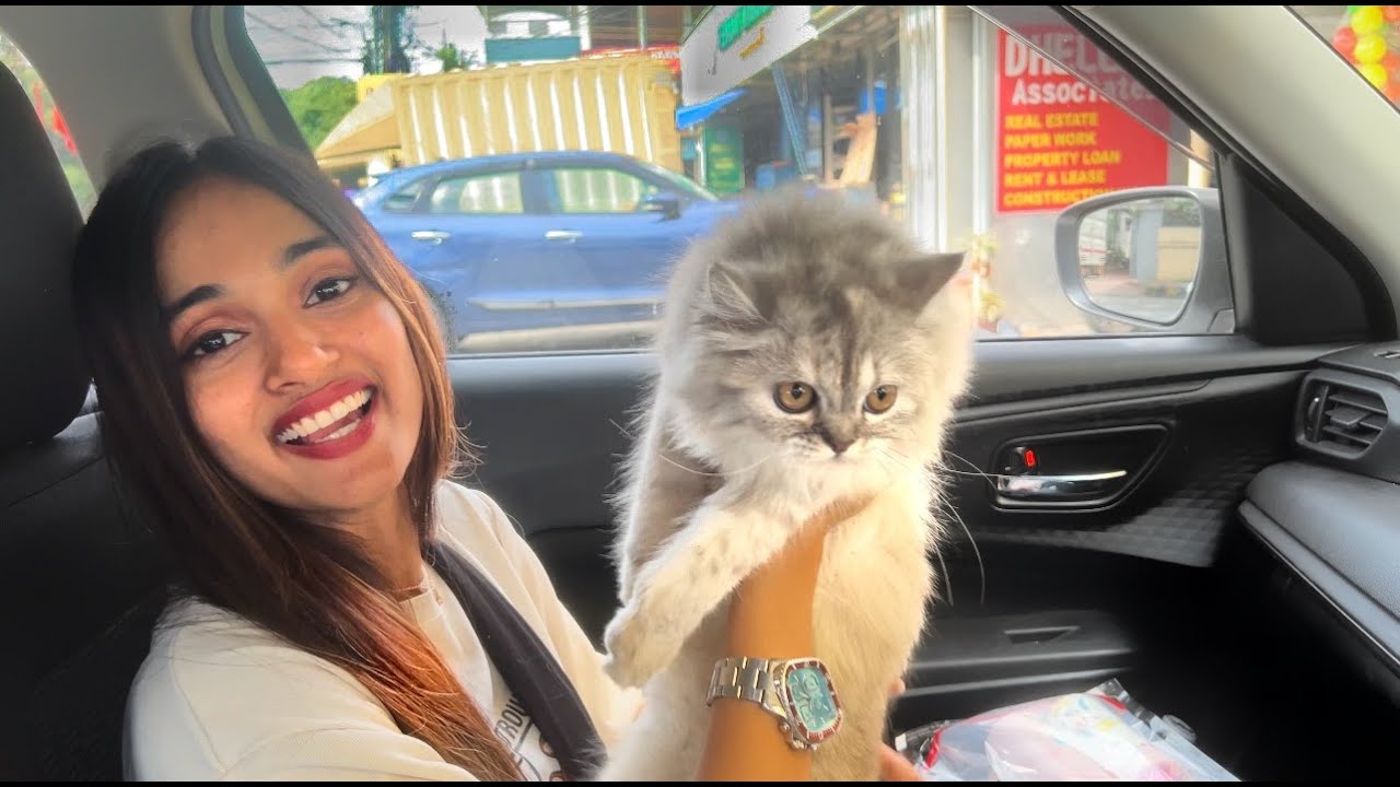 Day Out with My Cat 😻😻😻DUDyX