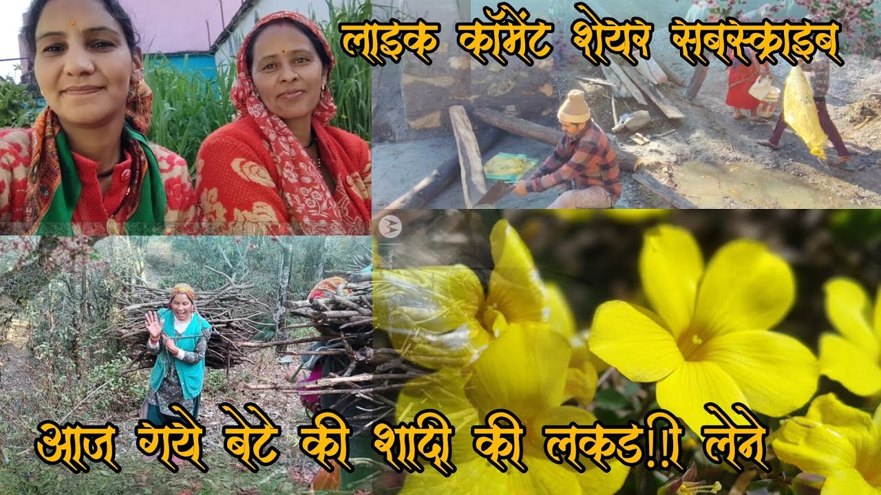 आज गये बेटे की शादी की लकड़ी लेने #minivlog #song #viralshort #pahadilifestylevlog #@anjupanwar8784