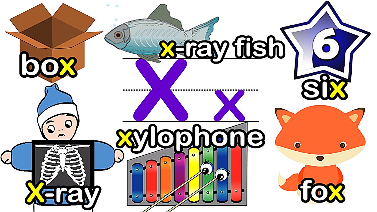 Letter “X” | X is for X-ray Xylophone | ABC 英文字母X