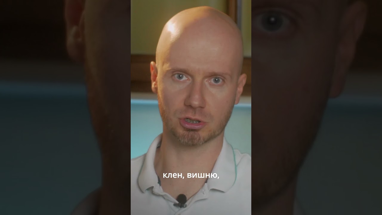 Породы дерева. Меранти