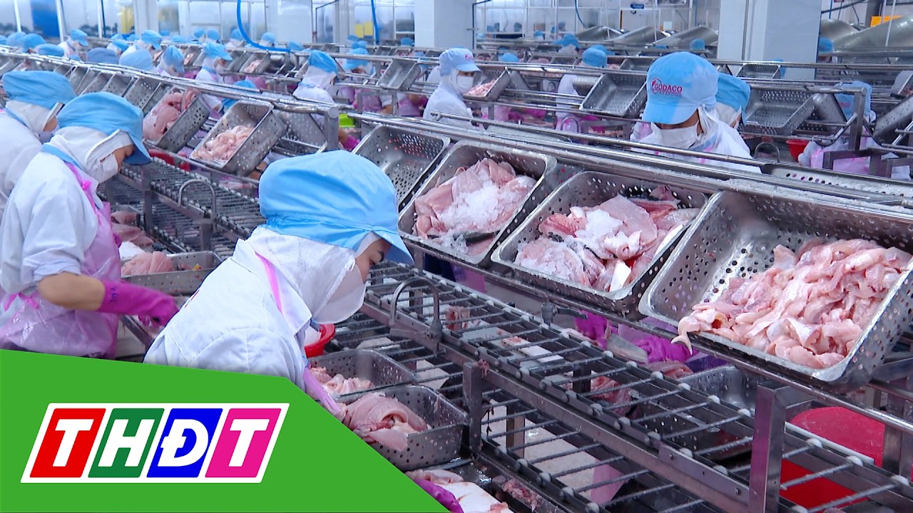 Sôi động thị trường lao động đầu năm | Kinh tế - 11/3/2026 | THDT