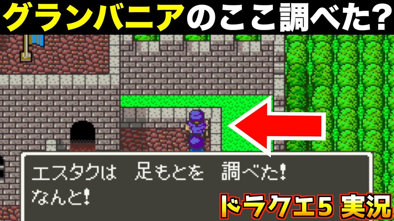 グランバニアの隠しアイテムとった？【ドラクエ5 実況039】