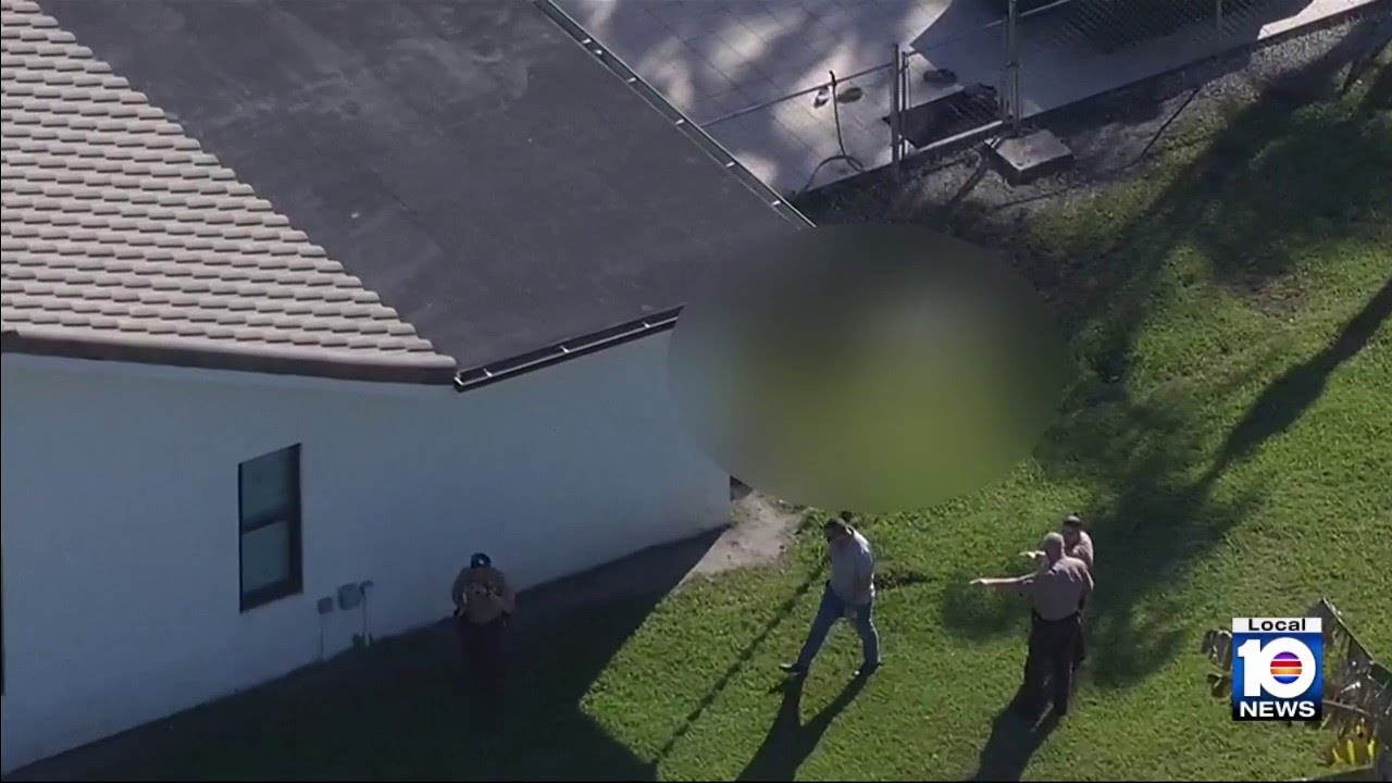 Deputies kill 2 dogs attacking man in southwest Miami-Dade