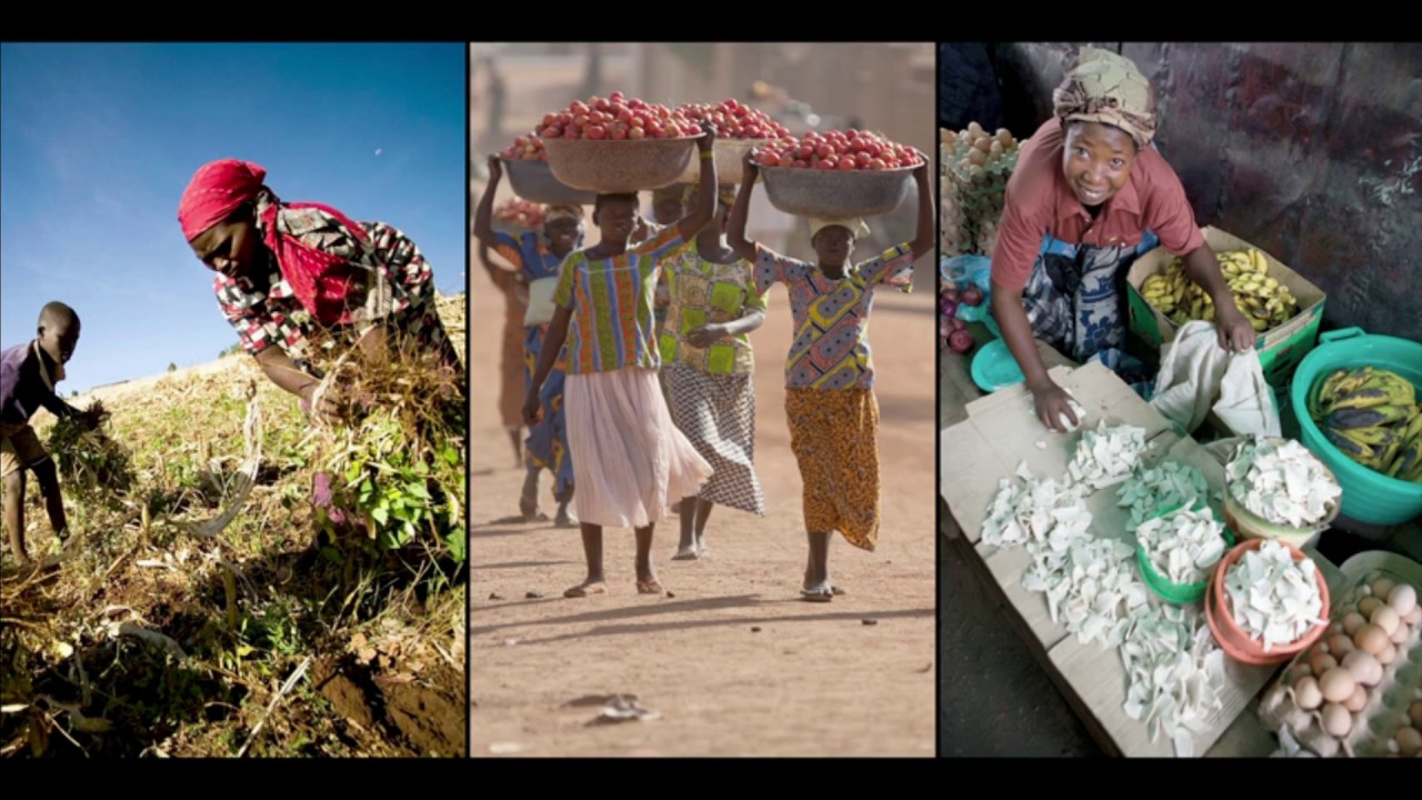 2030- SDG 2- Zero Hunger- Ted talks
