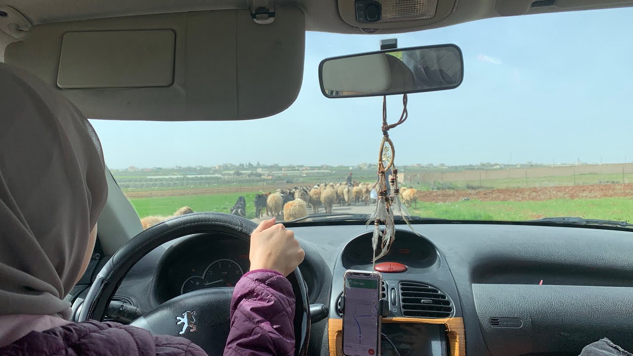 رحلة الى مأدبا l الاردن l جبل نيبو + مكتبة  كون + مطعم في كهف 🧺📍