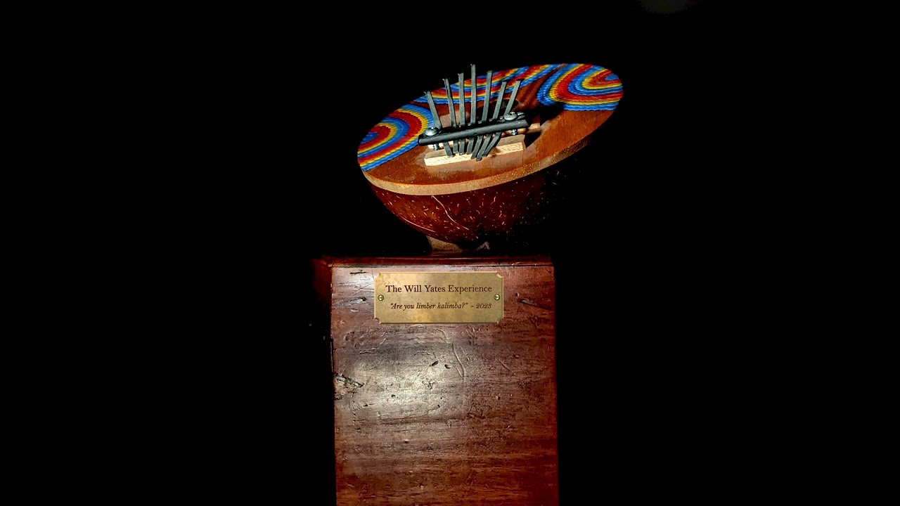 The Will Yates Experience - Are you limber, Kalimba? (Audio)
