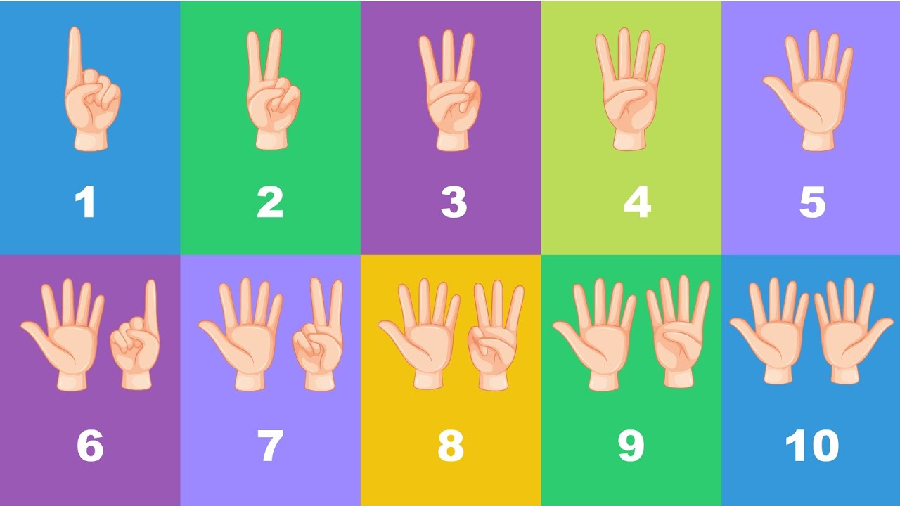 Números de 0 a 10 - Números infantil