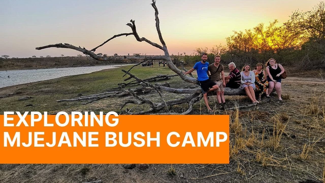 Exploring The Greater Kruger National Park ll Mjejane Private Game Reserve