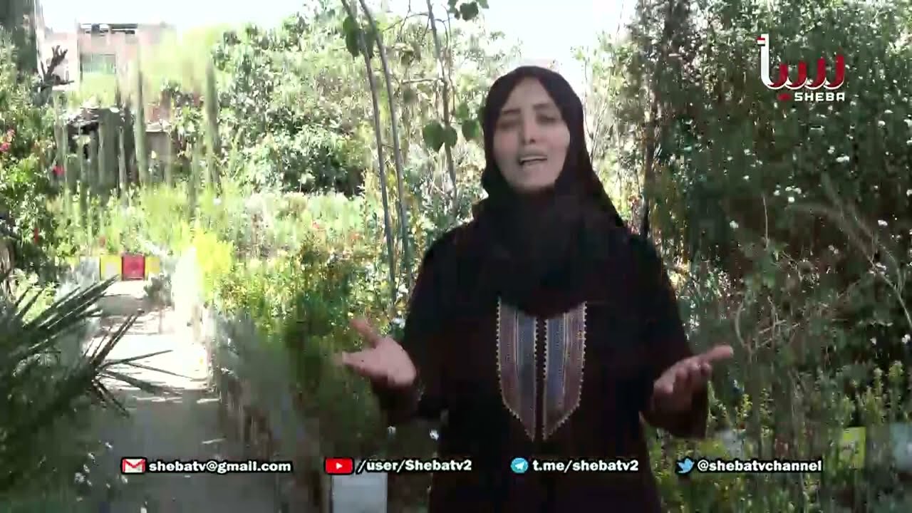 بنك الطعام اليمني في برنامج أوسمة العطاء على قناة سبأ  كأكبر جهة متخصصة في توفير الغذاء في اليمن