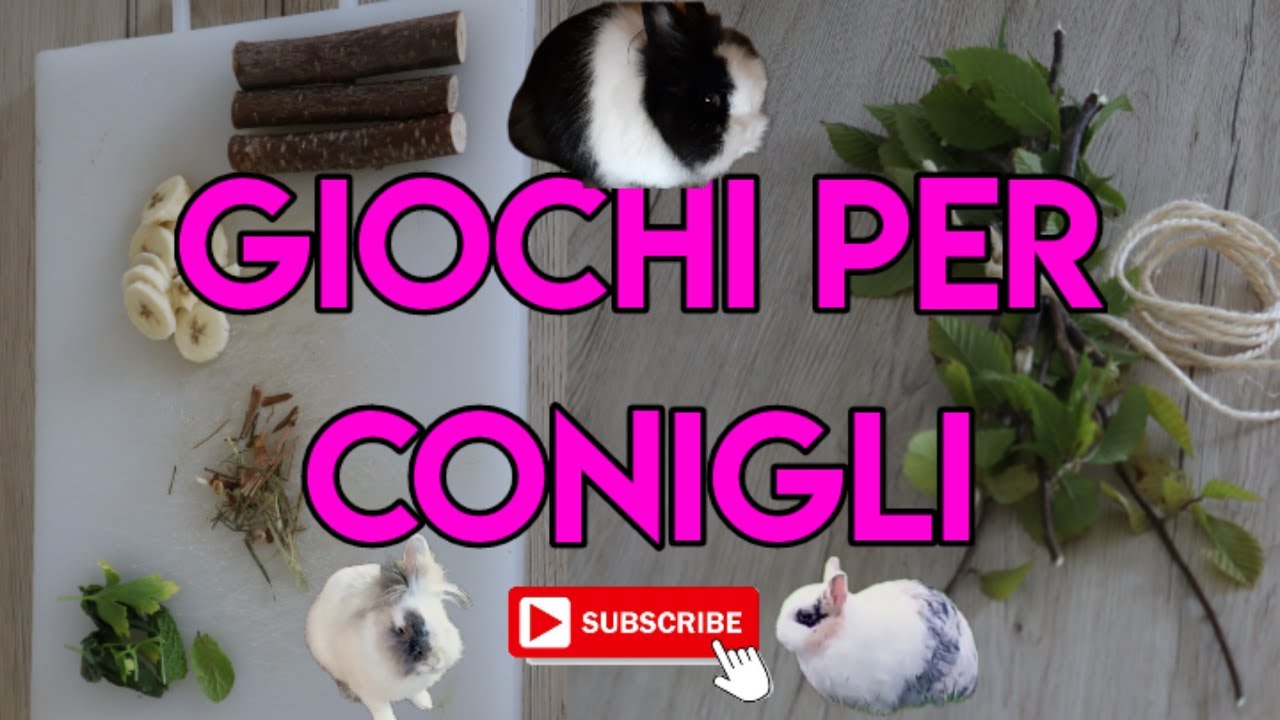 CONIGLI ED I LORO GIOCHI | 