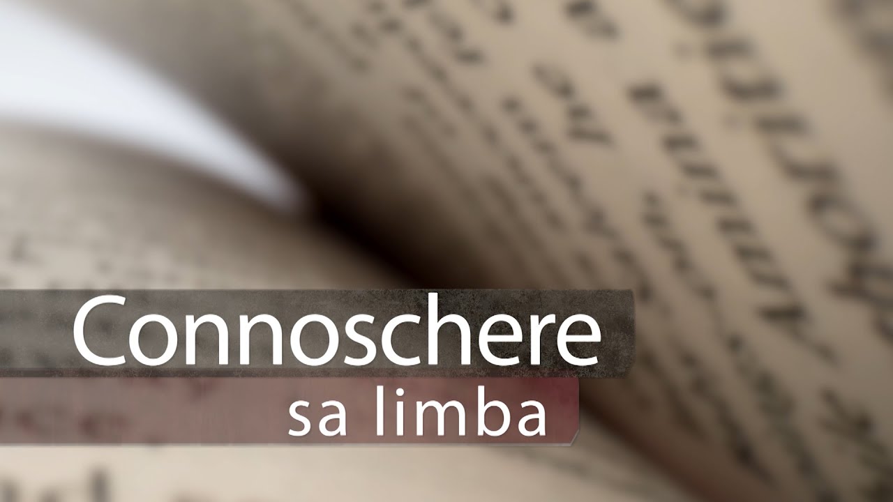 9P   CONNOSCHERE SA LIMBA 2023   Gonariu Carta