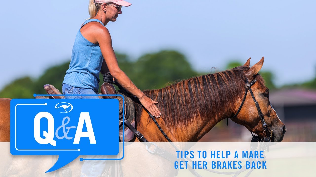 Tips to Help a Mare Get Her Brakes Back - Q&A