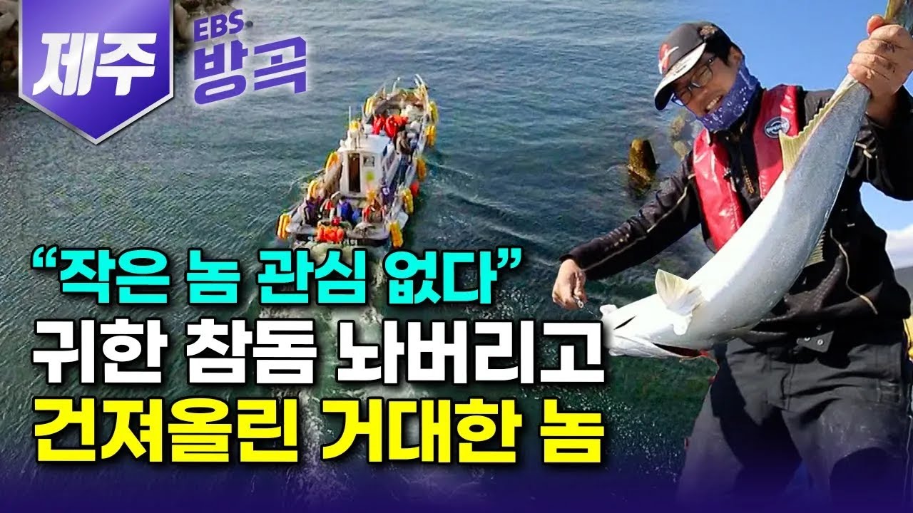 [제주] 