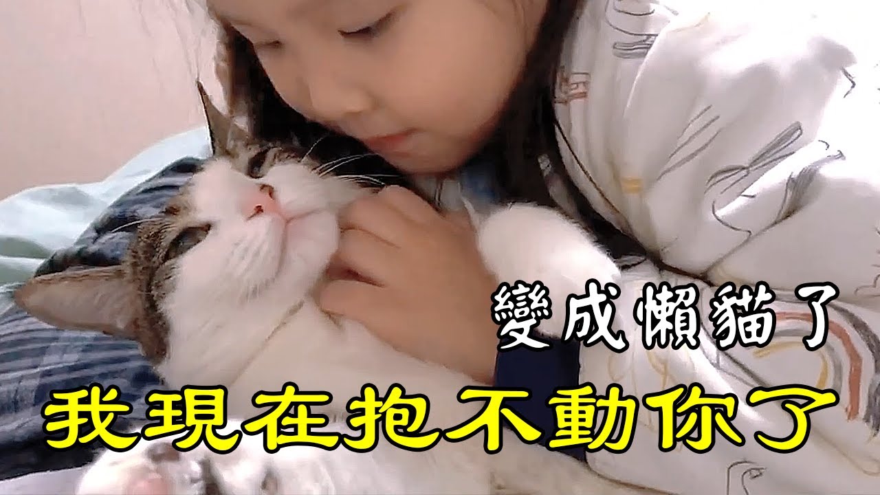 只是跟那隻流浪貓打了聲招呼，她就跟着回家了...那時她還是只小貓！