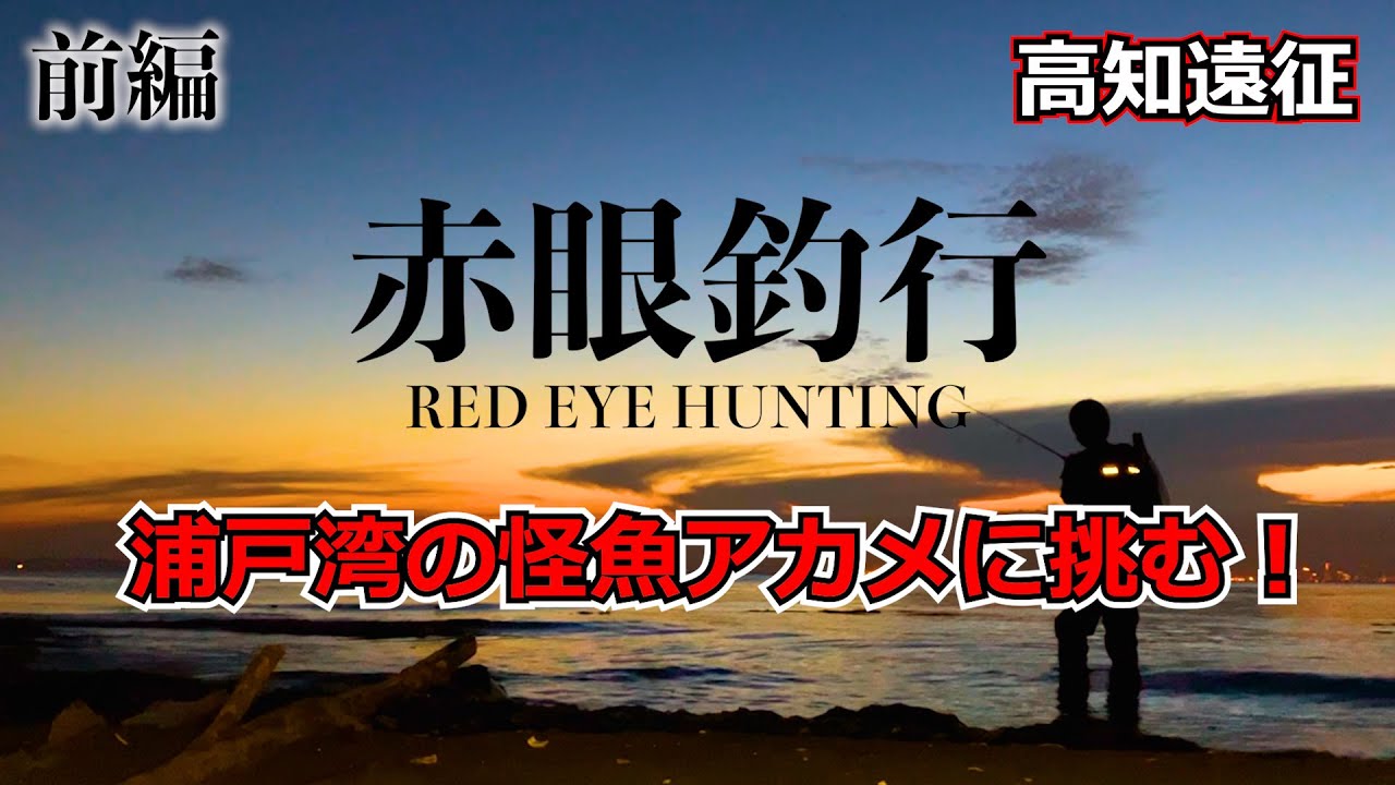 【高知遠征】浦戸湾の怪魚アカメに挑む！【Japanese lates fishing】