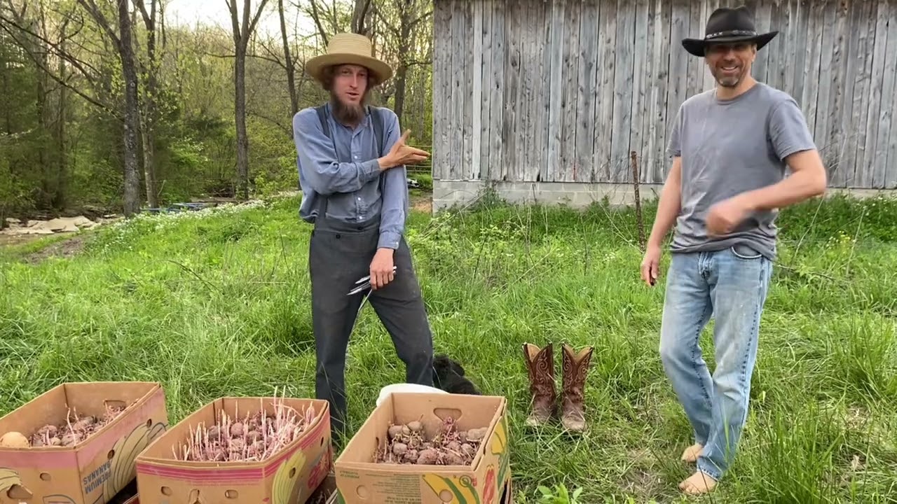 Planting Potatoes | 04.23.24 | Titus Morris’ Henson Creek Farm