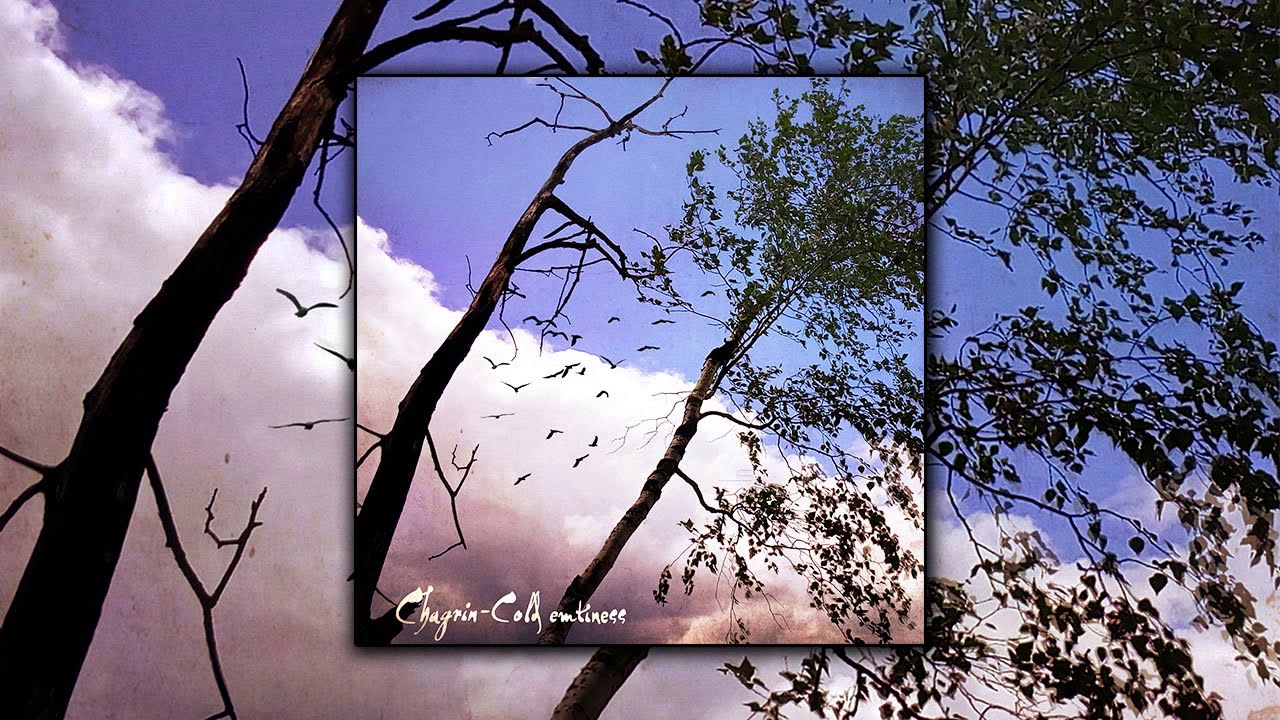 Chagrin - Cold Emptiness (Full Album)