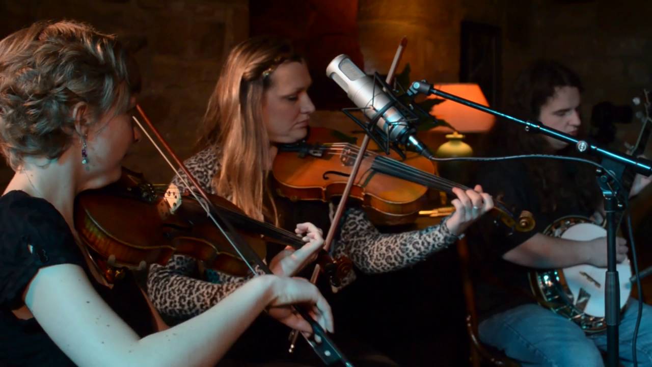 The Happy Cats Travelling Sesssions - Just One Night