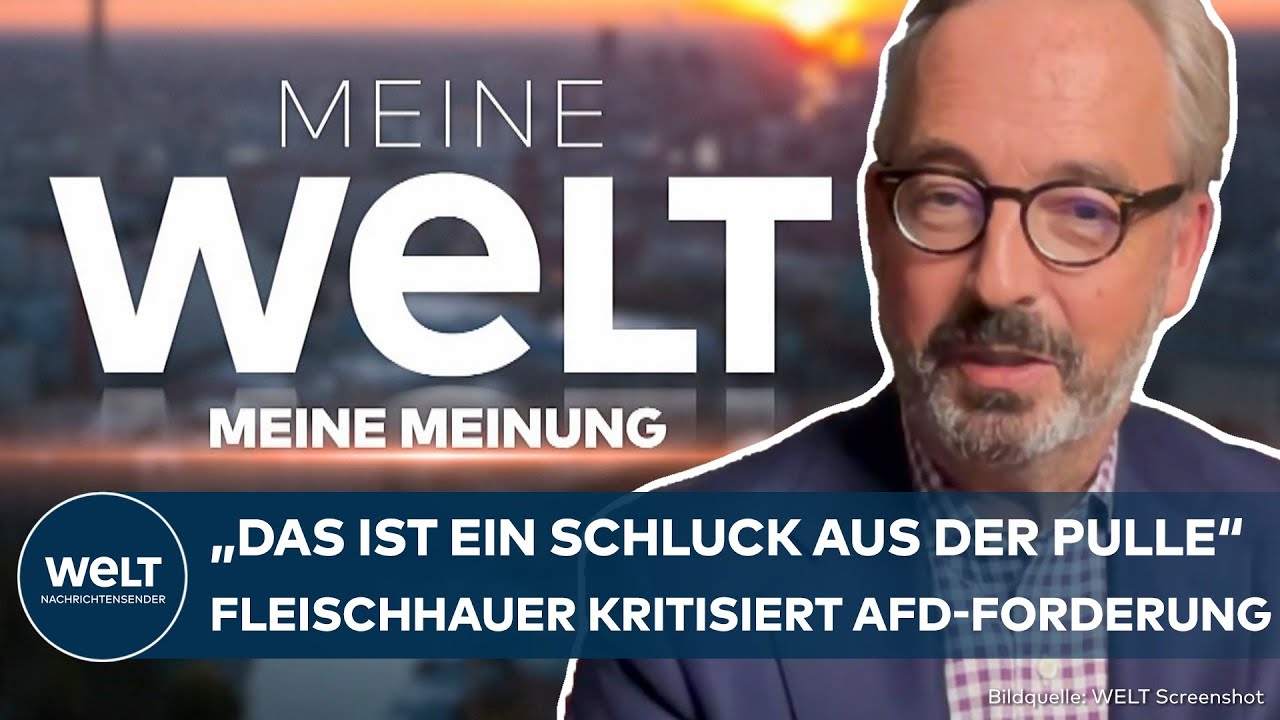 JAN FLEISCHHAUER: AfD-Rentenforderung ist 