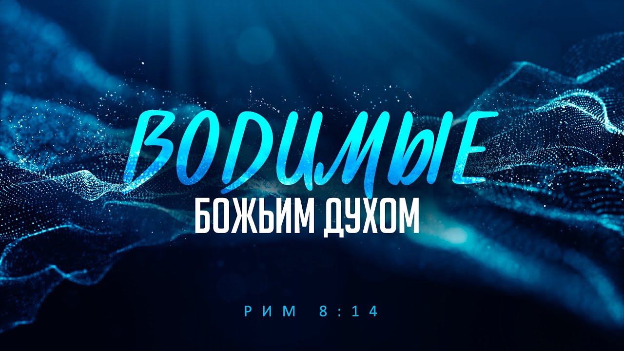Водимые Божьим Духом (Алексей Коломийцев)