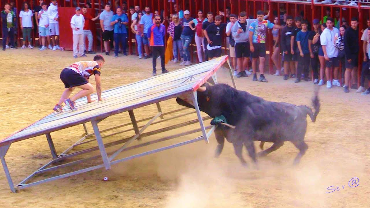 PICASSENT 01 DESAFIO de Toros Ganadería el Cali