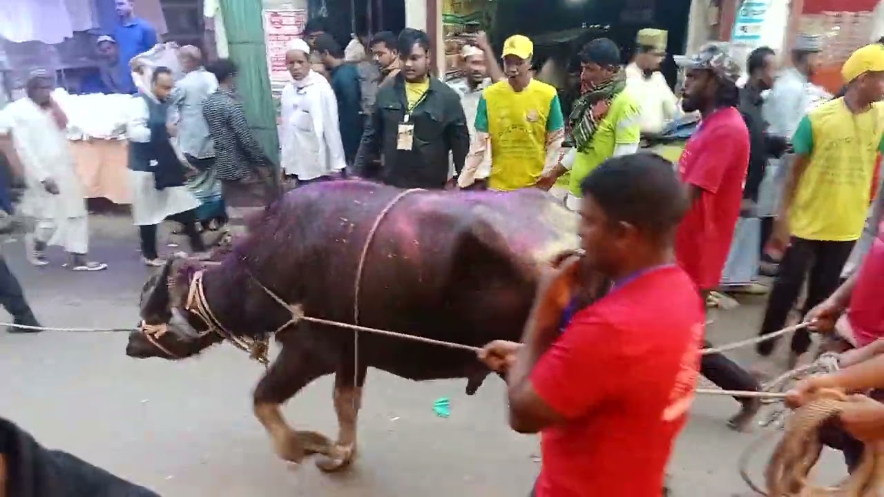 মহান ১০ই মাঘের হাদিয়া #সৈয়দ আহমদ উল্লাহ মাইজভান্ডারী বার্ষিক ওরশ শরীফ