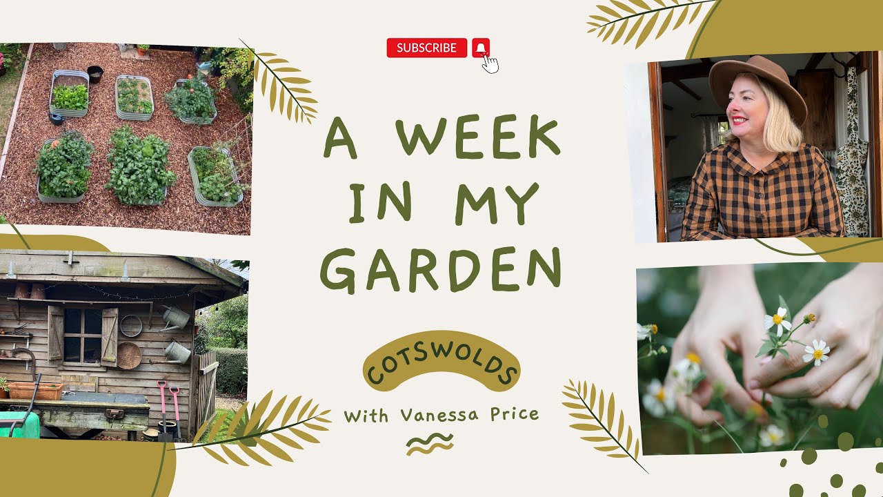 My Kitchen Garden. Raised beds. Sowing seeds & garden tour