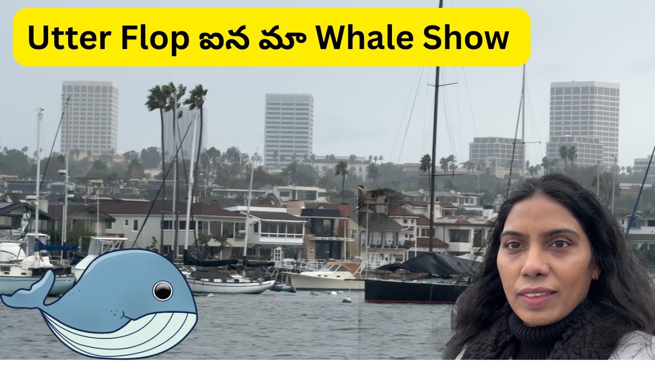 Our Wale show was a total flop