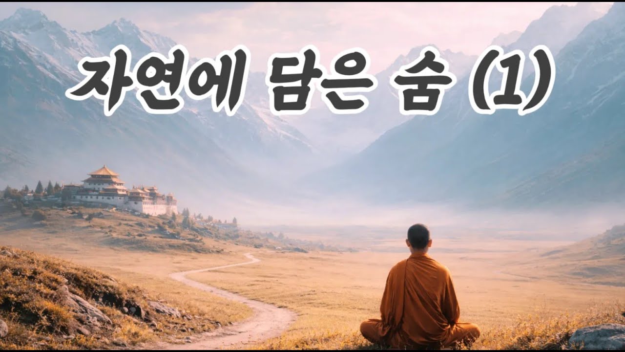 가사 없는 악기 명상 음악으로 조용한 내면의 흐름을 함께 느끼는 공간🌿 힐링 명상음악 듣고 오늘도 행복한 하루 되세요  #고요 #심야 명상 #소리의온도 #relaxingmusic
