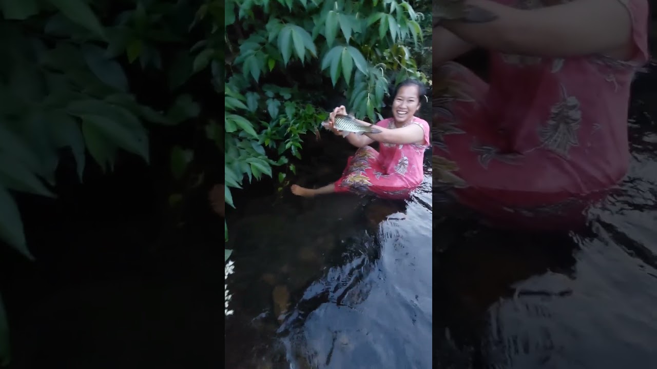 ikan hampala/sibarau air jernih dangkal #hampalabesar #baraubesar #tajur
