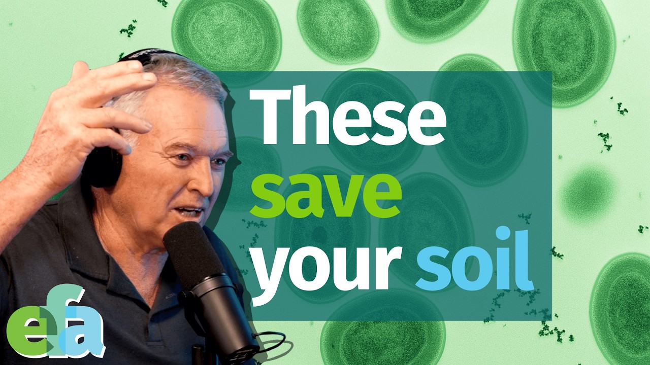 Cyanobacteria: The Hidden Engine Driving Your Soil