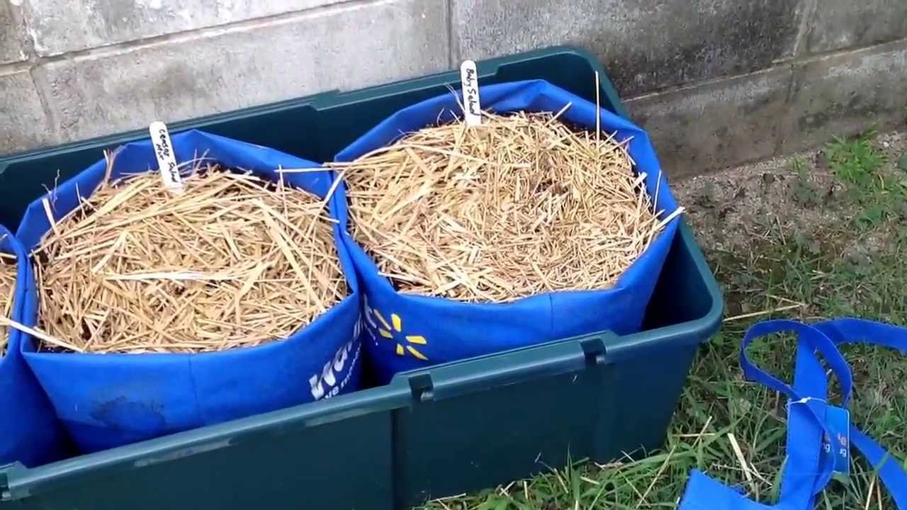 Using Walmart Grow Bags with the Self Watering System Part 1