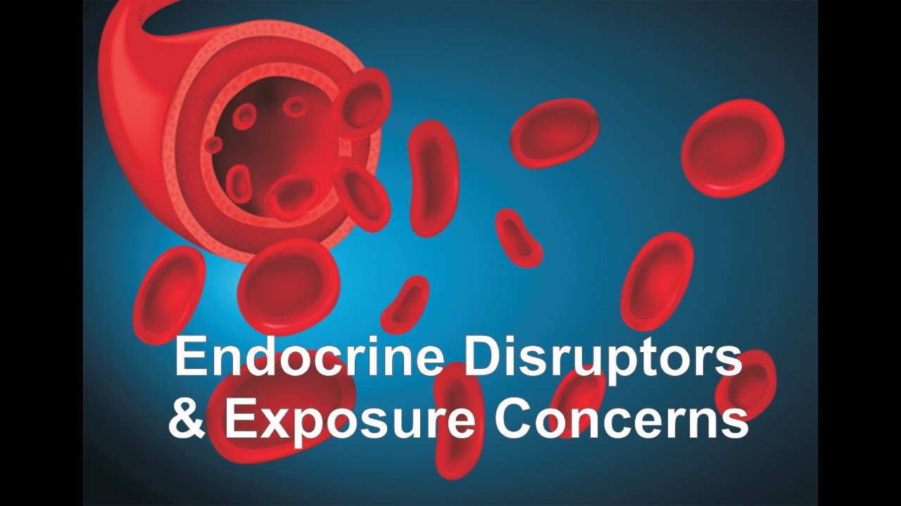 Endocrine Disruptors & Exposure Concerns