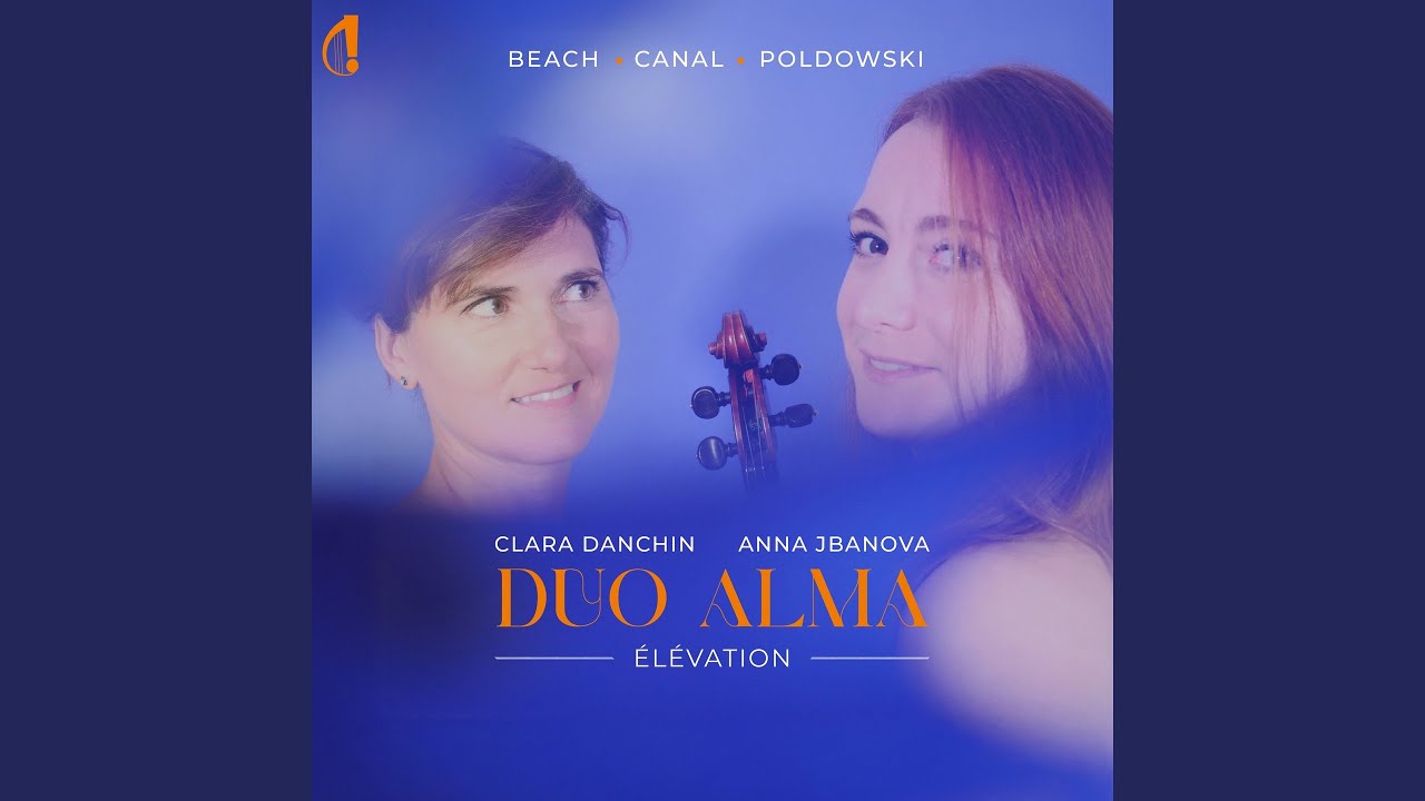 Violin Sonata: III. Largo con dolore