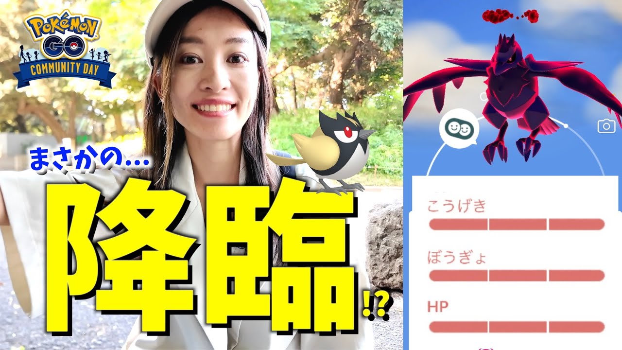まさかの100%降臨！？！炎天下のココガラのコミュニティデイで、とんでもないゲストが来ました・・・！！【ポケモンGO】