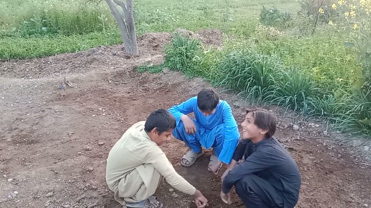 سرائیکی لوگوں کی فنی ویڈیو 
